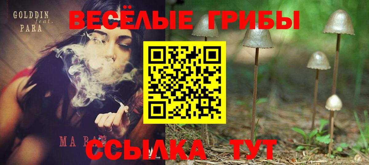 Псилоцибиновые грибы мицелий  Галлюциногенные грибы MAGIC MUSHROOMS  Бахчисарай  сколько стоит  Вход с VPN 